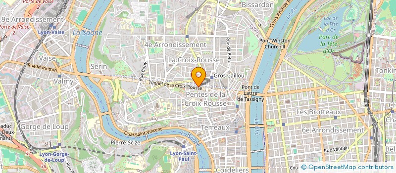 localisation de l'entreprise MADAME SYLVIE SAULNIER à LYON