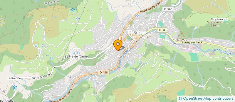 localisation de l'entreprise MADAME SYLVIE SIMON  LA BRESSE