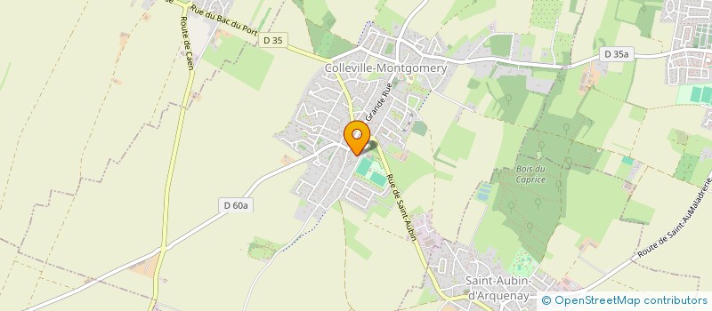 localisation de l'entreprise MADAME SYLVIE SKRZYPACZ  COLLEVILLE-MONTGOMERY