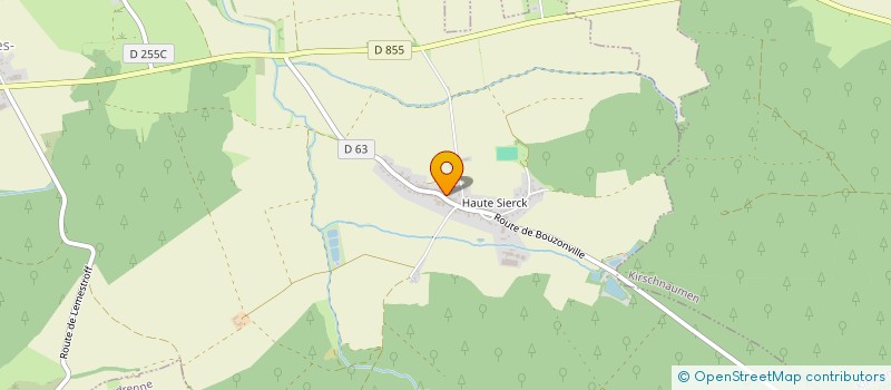 localisation de l'entreprise MADAME SYLVIE SOLER  KERLING-LES-SIERCK