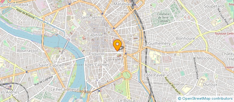 localisation de l'entreprise MADAME SYLVIE SUBRA DE SALAFA à TOULOUSE
