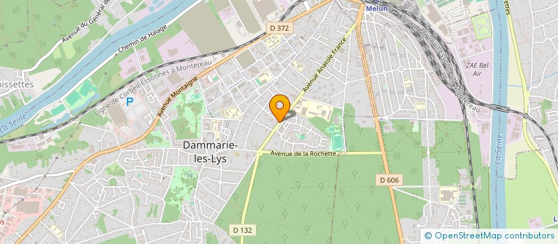 localisation de l'entreprise MADAME SYLVIE THOMAS à DAMMARIE-LES-LYS