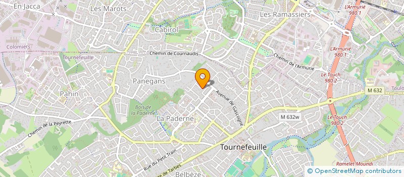 localisation de l'entreprise MADAME SYLVIE THOREL  TOURNEFEUILLE