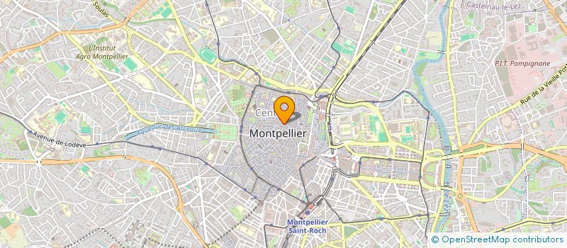 localisation de l'entreprise MADAME SYLVIE TOUREILLE à MONTPELLIER
