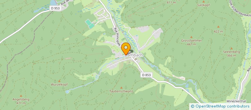 localisation de l'entreprise MADAME SYLVIE TREU  DAMBACH