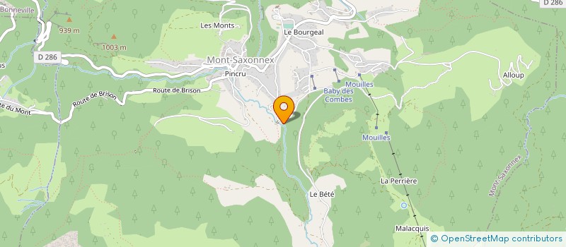 localisation de l'entreprise MADAME SYLVIE VAN-EENOOGHE  MONT-SAXONNEX