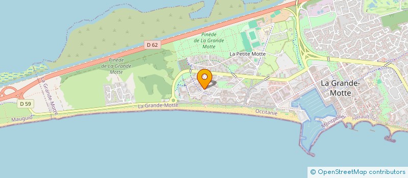 localisation de l'entreprise MADAME SYLVIE VAUGEOIS  LA GRANDE-MOTTE