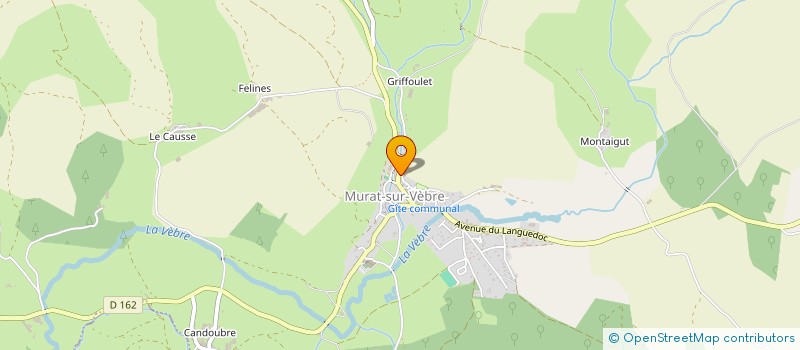 localisation de l'entreprise MADAME SYLVIE VERGNES  MURAT-SUR-VEBRE