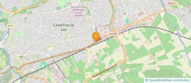 localisation de l'entreprise MADAME SYLVIE VIGO à CASTELNAU-LE-LEZ