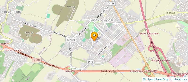 localisation de l'entreprise MADAME SYLVIE VILAIN  SAINS EN GOHELLE