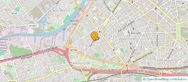 localisation de l'entreprise MADAME SYRINE JEMAA à LILLE