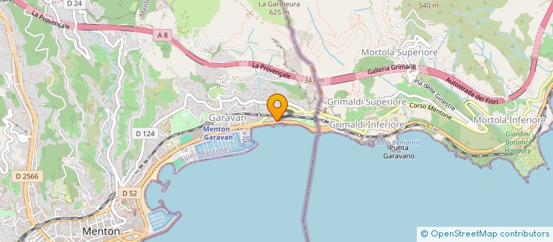 localisation de l'entreprise MADAME SZONJA ZAMBO  MENTON