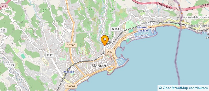 localisation de l'entreprise MADAME TAM NGUYEN THANH  MENTON