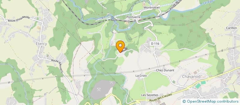 localisation de l'entreprise MADAME TAMARA BOKHASHVILI  CHAVANOD