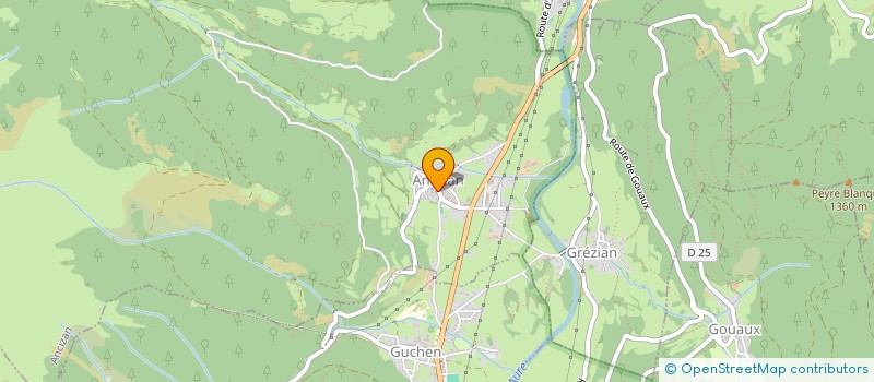 localisation de l'entreprise MADAME TAMARA LEONARTE PEREZ  LANNEMEZAN