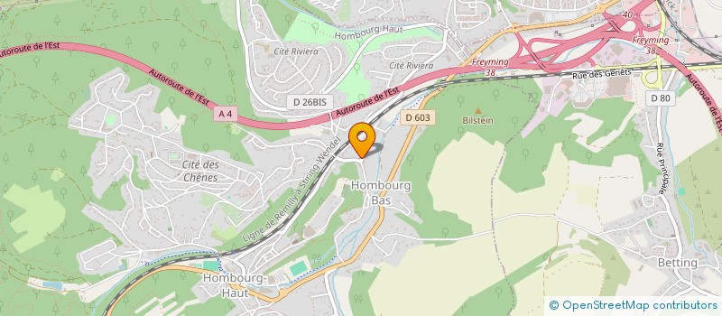 localisation de l'entreprise MADAME TAMARA NIKOLIC  HOMBOURG-HAUT