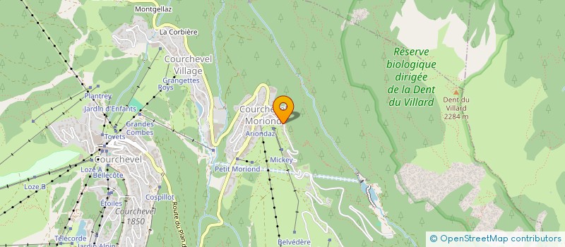 localisation de l'entreprise MADAME TAMARA VIDONI  COURCHEVEL
