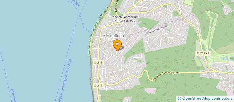 localisation de l'entreprise MADAME TAMARI BERIKISHVILI  GUJAN-MESTRAS