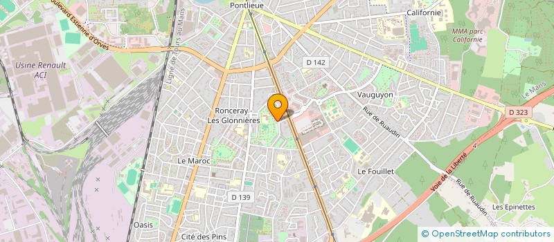 localisation de l'entreprise MADAME TAMILA HUSSEINOVNA DEBICHOVA  LE MANS