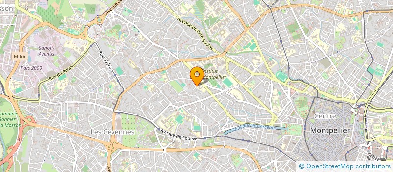 localisation de l'entreprise MADAME TANIA ALEJANDRA TRIGO SALAS à MONTPELLIER