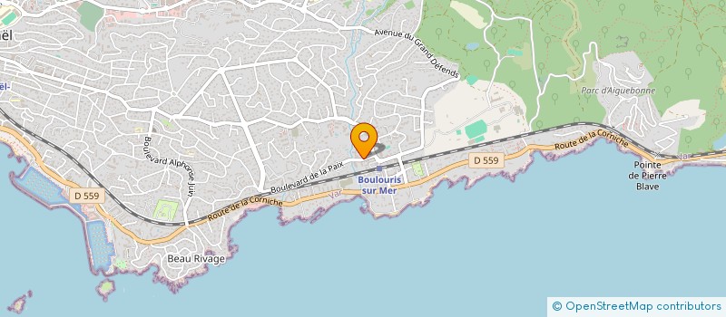 localisation de l'entreprise MADAME TANIA DA SILVA LOPES  SAINT-RAPHAEL