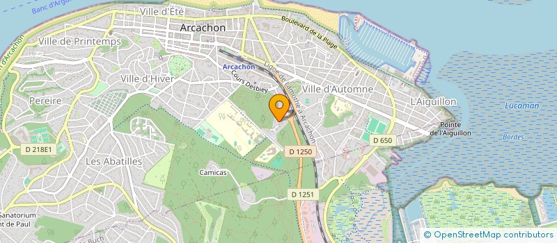 localisation de l'entreprise MADAME TANIA DAVID  ARCACHON