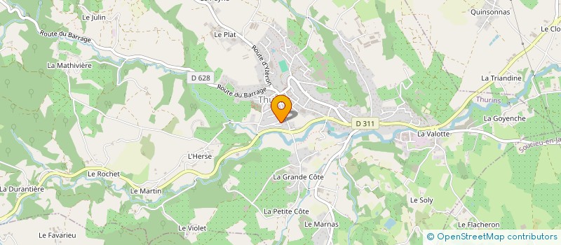 localisation de l'entreprise MADAME TANIA NEVES GRACA  THURINS