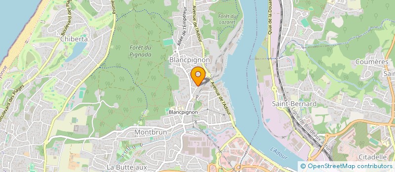 localisation de l'entreprise MADAME TANIA PATRICIA FRANCISCO SANTOS  ANGLET