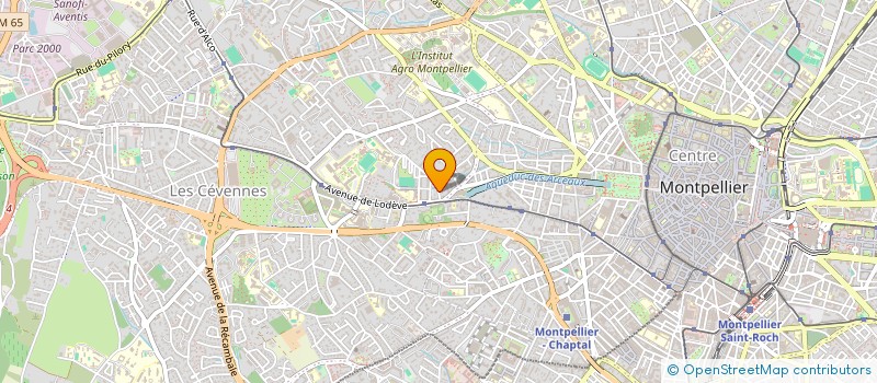 localisation de l'entreprise MADAME TANIS TARDIF à MONTPELLIER