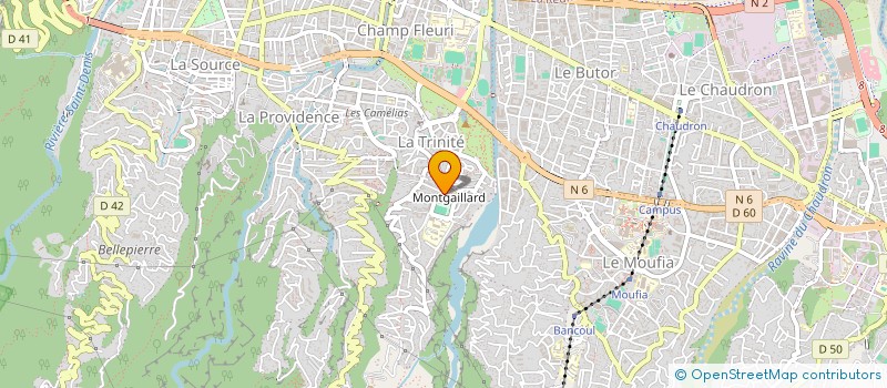 localisation de l'entreprise MADAME TANJONA ANDRIANIASINA à SAINT-DENIS