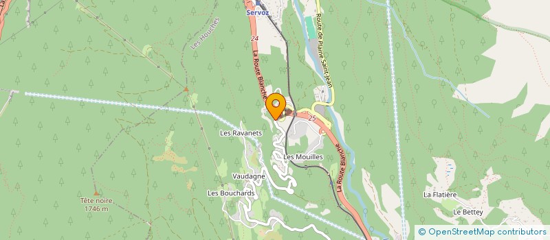 localisation de l'entreprise MADAME TANYA MAYO-BRUINSMA à LES HOUCHES