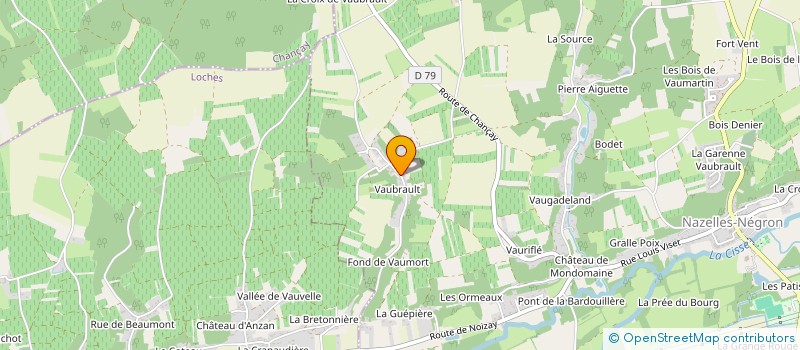 localisation de l'entreprise MADAME TARA THIELIN à NAZELLES-NEGRON