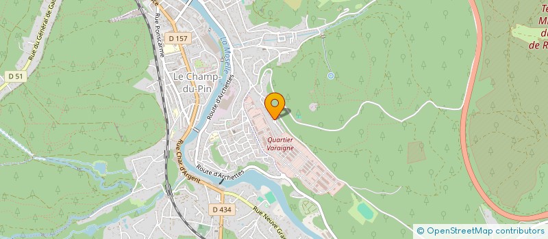 localisation de l'entreprise MADAME TATEVIK GIJLARYAN  EPINAL