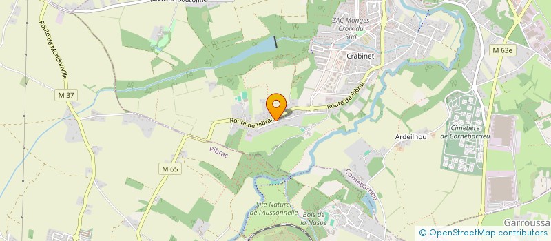 localisation de l'entreprise MADAME TATIANA ARAUJO FERNANDES  CORNEBARRIEU