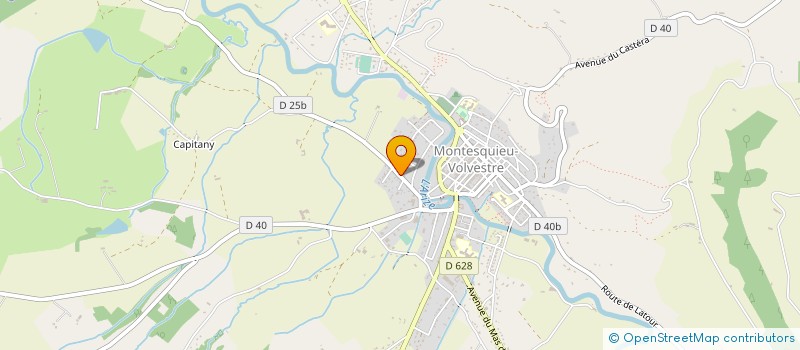 localisation de l'entreprise MADAME TATIANA BORISSOVA  MONTESQUIEU-VOLVESTRE