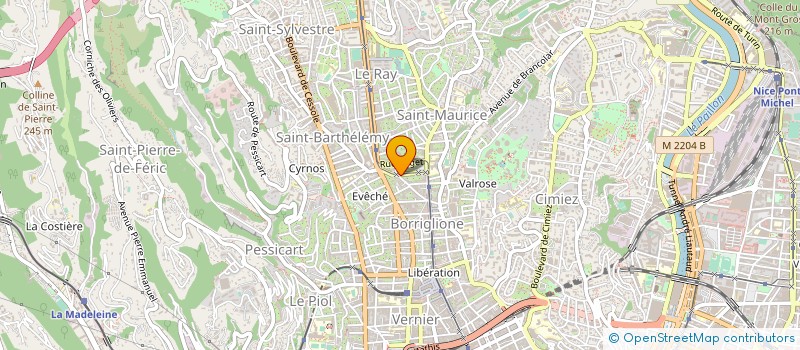 localisation de l'entreprise MADAME TATIANA BORODINA à NICE