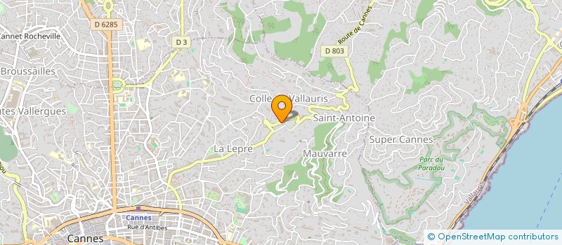 localisation de l'entreprise MADAME TATIANA CONDRATIUC  CANNES