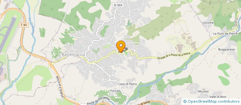 localisation de l'entreprise MADAME TATIANA LOVERINI  BASTELICACCIA