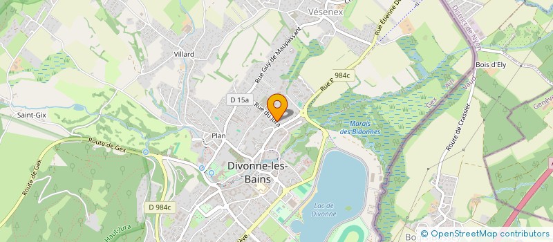 localisation de l'entreprise MADAME TATIANA PAIS FERREIRA  DIVONNE-LES-BAINS