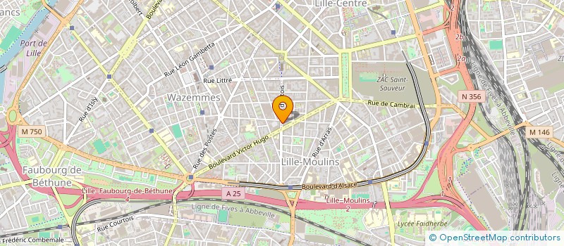 localisation de l'entreprise MADAME TATIANA SHESTERKINA à LILLE