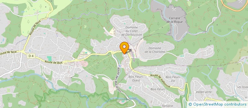 localisation de l'entreprise MADAME TATIANA SOROKINA  VALBONNE