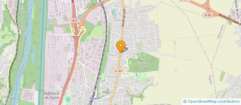 localisation de l'entreprise MADAME TATIANA SOUSA  FEYZIN