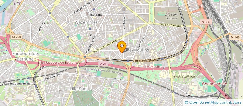localisation de l'entreprise MADAME TATIANA SZAJKOWSKI à LILLE