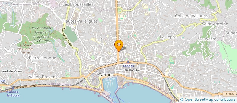 localisation de l'entreprise MADAME TATIANA TAUMHAS CONJUNGO à CANNES
