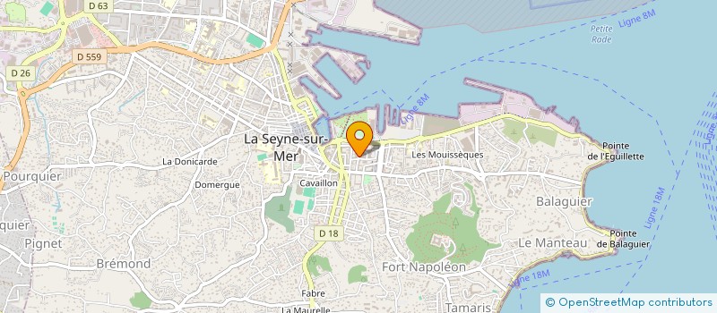 localisation de l'entreprise MADAME TATIANA TAYLOR à LA SEYNE-SUR-MER