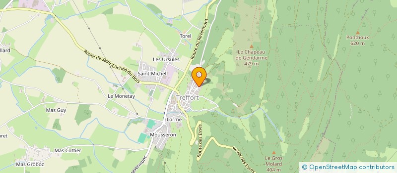 localisation de l'entreprise MADAME TATIANA VOLKHONSKAIA à VAL-REVERMONT