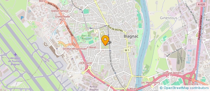 localisation de l'entreprise MADAME TENE SIDIBE  BLAGNAC