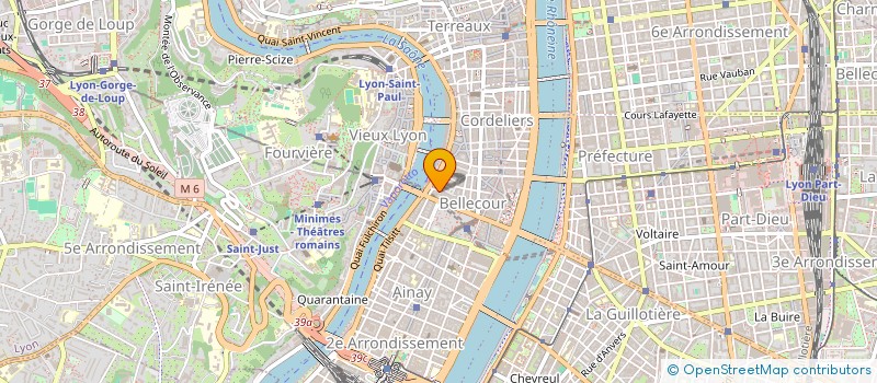 localisation de l'entreprise MADAME TEODORA RADKOVA  LYON