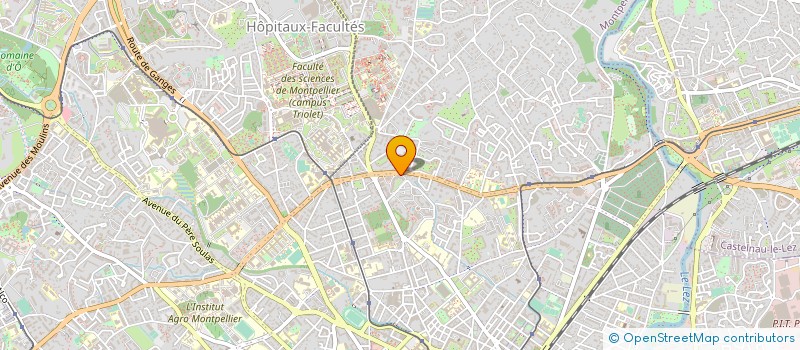 localisation de l'entreprise MADAME TERESA PETRONI à MONTPELLIER