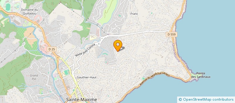localisation de l'entreprise MADAME TERESA SANTAGELO à SAINTE-MAXIME